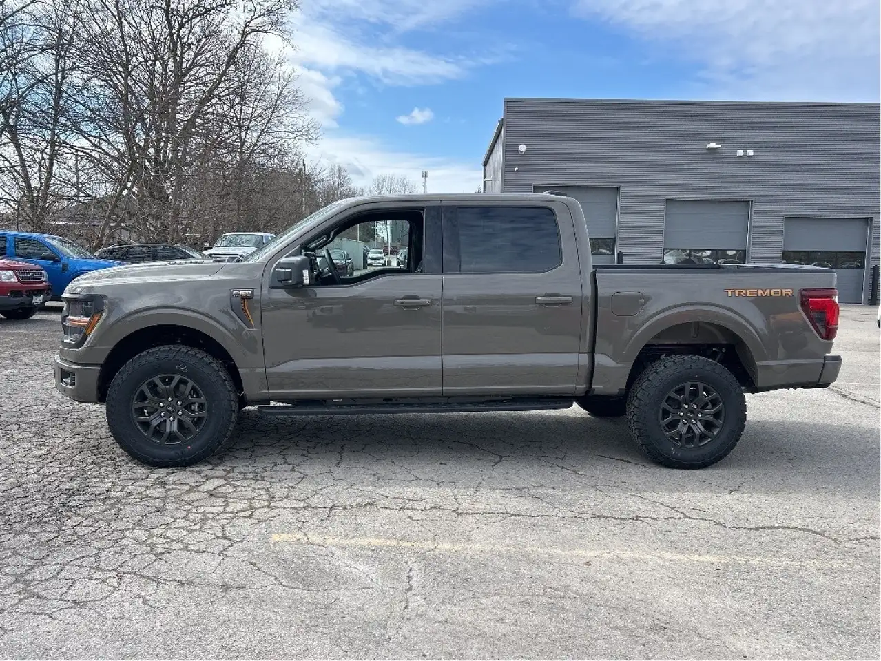 Ford F 150 снимка Ford F 150
