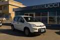 Fiat Panda 1.0 FireFly S&S Hybrid Bianco - thumbnail 3