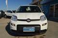 Fiat Panda 1.0 FireFly S&S Hybrid Bianco - thumbnail 4