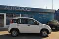 Fiat Panda 1.0 FireFly S&S Hybrid Bianco - thumbnail 2