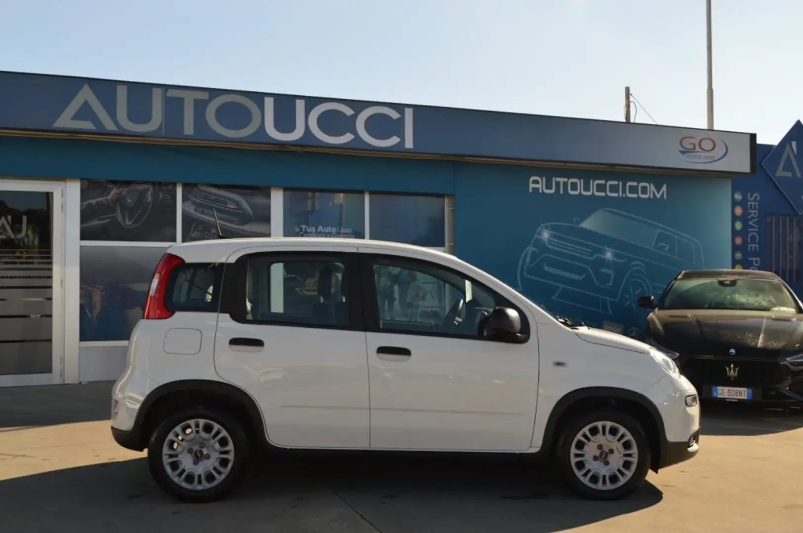 Fiat Panda 1.0 FireFly S&S Hybrid Bianco - 2