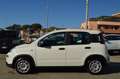 Fiat Panda 1.0 FireFly S&S Hybrid Bianco - thumbnail 5