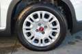 Fiat Panda 1.0 FireFly S&S Hybrid Bianco - thumbnail 15