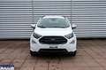 Ford EcoSport EcoSport 1.0 ecoboost ST-Line s&s 125cv my20.25 - thumbnail 3