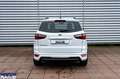 Ford EcoSport EcoSport 1.0 ecoboost ST-Line s&s 125cv my20.25 - thumbnail 4