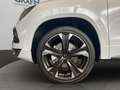 SEAT Ateca 1.5 TSI ACT 110 kW (150 PS) Basis Weiß - thumbnail 3