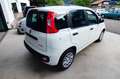 Fiat Panda 1.0 FireFly S&S Hybrid Bianco - thumbnail 5