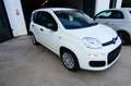 Fiat Panda 1.0 FireFly S&S Hybrid Bianco - thumbnail 1