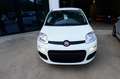 Fiat Panda 1.0 FireFly S&S Hybrid Bianco - thumbnail 3