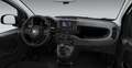 Fiat Panda 1.0 FireFly S&S Hybrid Bianco - thumbnail 7