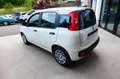 Fiat Panda 1.0 FireFly S&S Hybrid Bianco - thumbnail 4