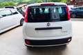 Fiat Panda 1.0 FireFly S&S Hybrid Bianco - thumbnail 6