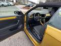 Volkswagen T-Roc Cabrio TSI R-Line AHK/ beatsAudio /DCC-Fahr Gelb - thumbnail 21
