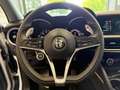 Alfa Romeo Stelvio 2.2 Turbodiesel 210 CV AT8 Q4 Executive *UNICO PR Wit - thumbnail 14