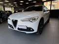 Alfa Romeo Stelvio 2.2 Turbodiesel 210 CV AT8 Q4 Executive *UNICO PR Wit - thumbnail 1