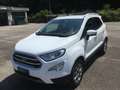 Ford EcoSport Titanium 1.0 EcoBoost 125 CV - Usata Bianco - thumbnail 1