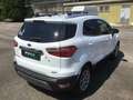 Ford EcoSport Titanium 1.0 EcoBoost 125 CV - Usata Bianco - thumbnail 5