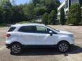 Ford EcoSport Titanium 1.0 EcoBoost 125 CV - Usata Bianco - thumbnail 4