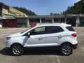 Ford EcoSport Titanium 1.0 EcoBoost 125 CV - Usata Bianco - thumbnail 8