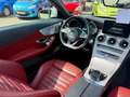 Mercedes-Benz C 250 Cabrio C 250 d MULTIBEAM AMG BURMESTER SHZ Weiß - thumbnail 22