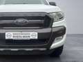Ford Ranger Wildtrak EXTRAKABINE 4x4*HARDTOP*AUTOMATIK Weiß - thumbnail 14