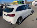 Mercedes-Benz B 200 B B 200 Edition 19 Weiß - thumbnail 3