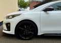Kia ProCeed 1.6 CRDi GT-Line AUTM.  TOP AUSST Blanc - thumbnail 28