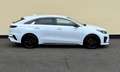 Kia ProCeed 1.6 CRDi GT-Line AUTM.  TOP AUSST Blanc - thumbnail 8