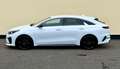 Kia ProCeed 1.6 CRDi GT-Line AUTM.  TOP AUSST Blanc - thumbnail 7
