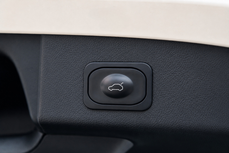Ford Focus Wagon 1.5 Active / PANO / HUD / ACC / B&O / KEYLES — photo 28