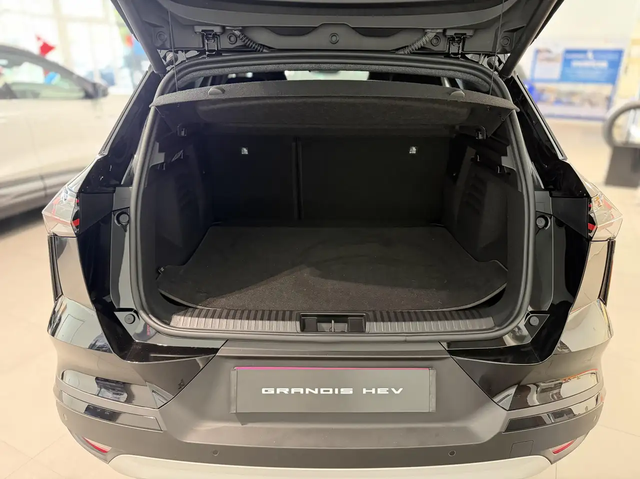 Mitsubishi Grandis 2026