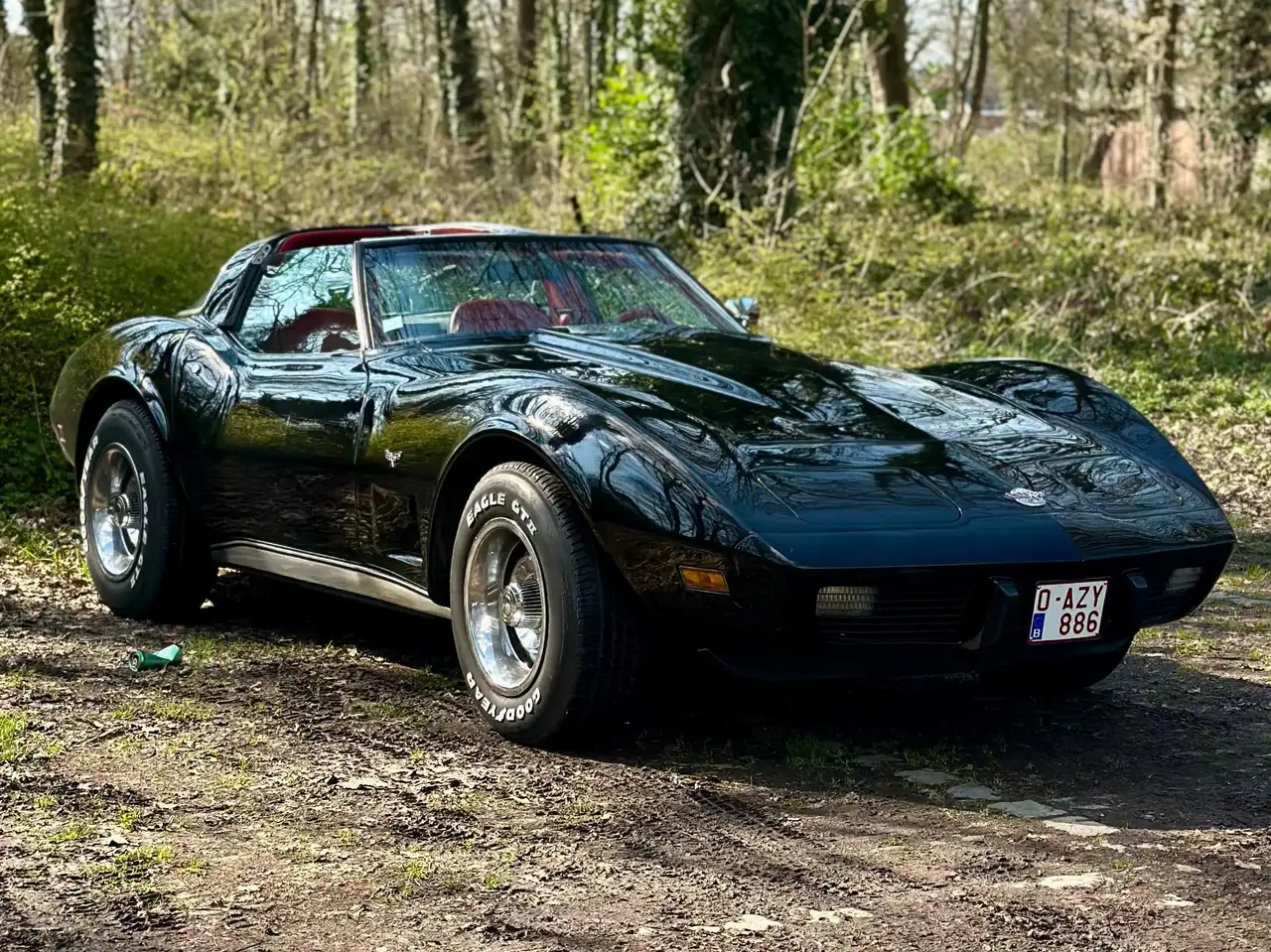 Corvette C3 5l7 25Th anniversaire, foto 9
