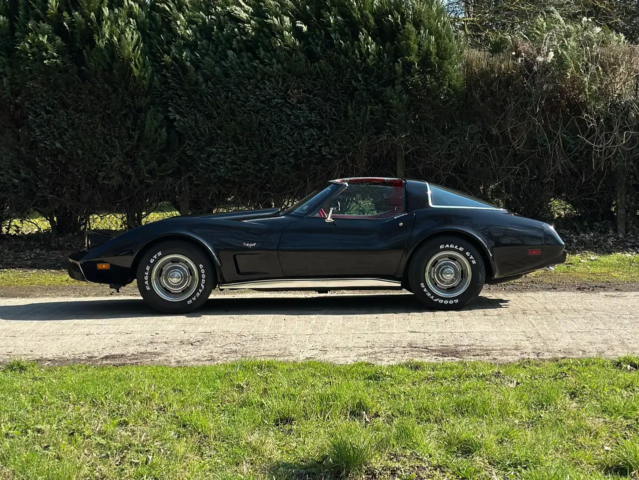 Corvette C3 5l7 25Th anniversaire, foto 2