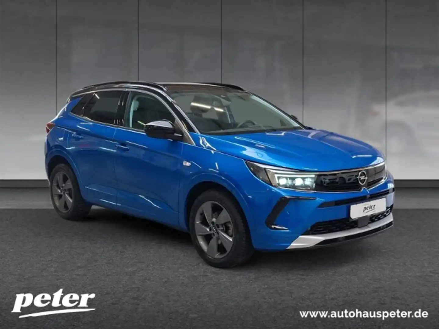 Opel Grandland Grandland 1.2 Turbo Elegance Klimaautomatik Alcantara Allwetter Bleu - 2