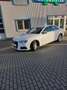 Audi A4 basis Weiß - thumbnail 12