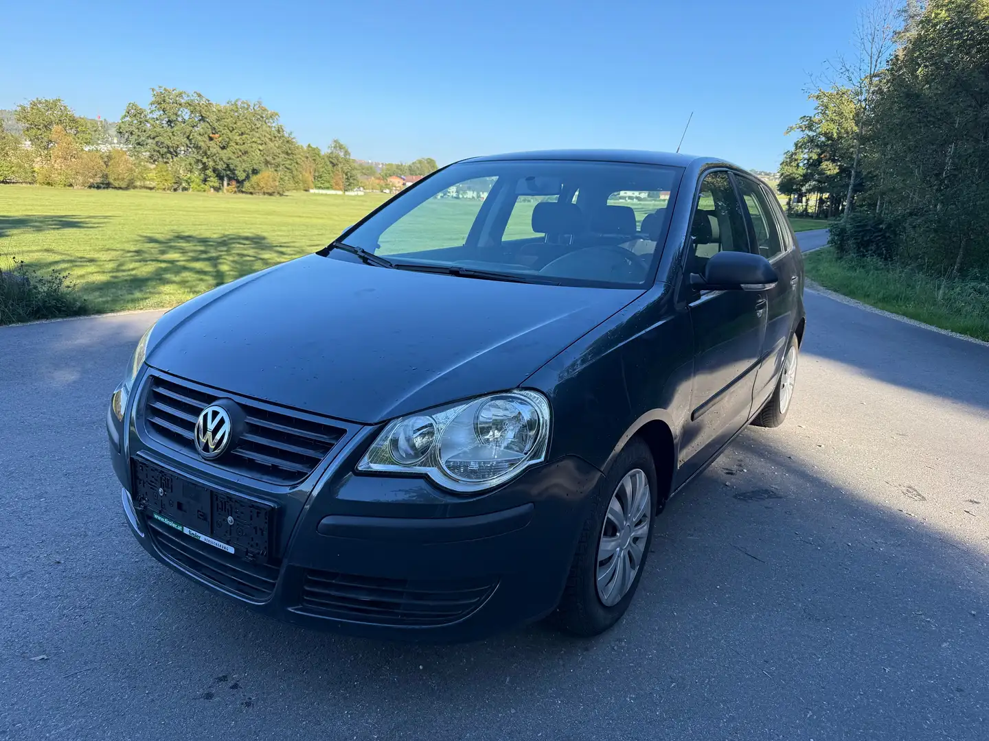Volkswagen Polo Grau - 1