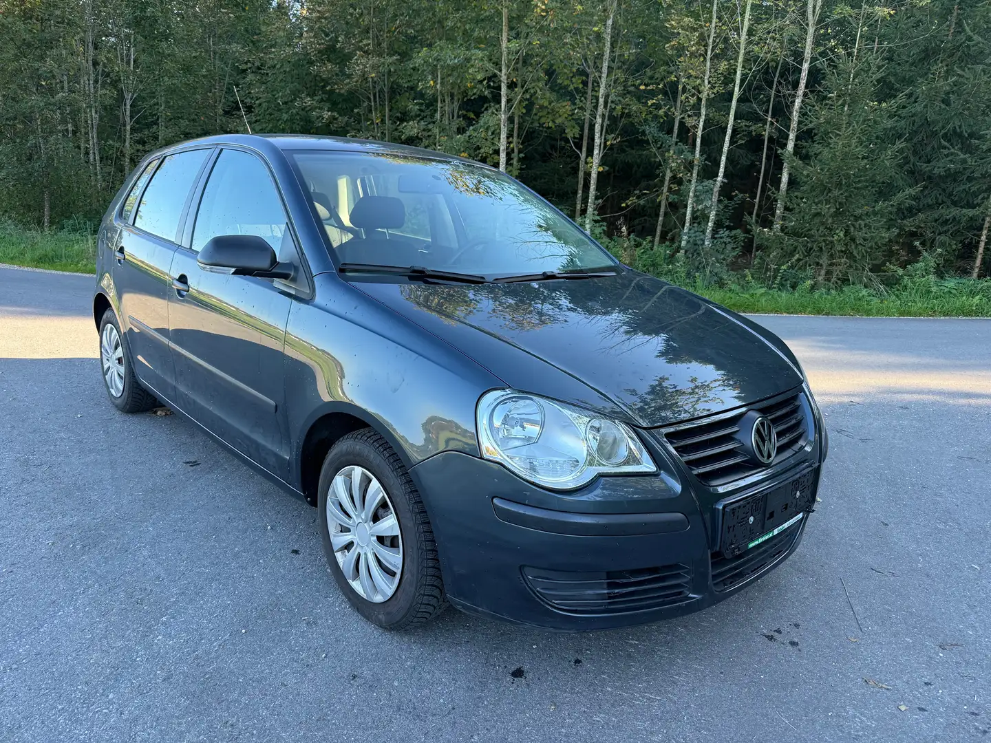 Volkswagen Polo Grau - 2