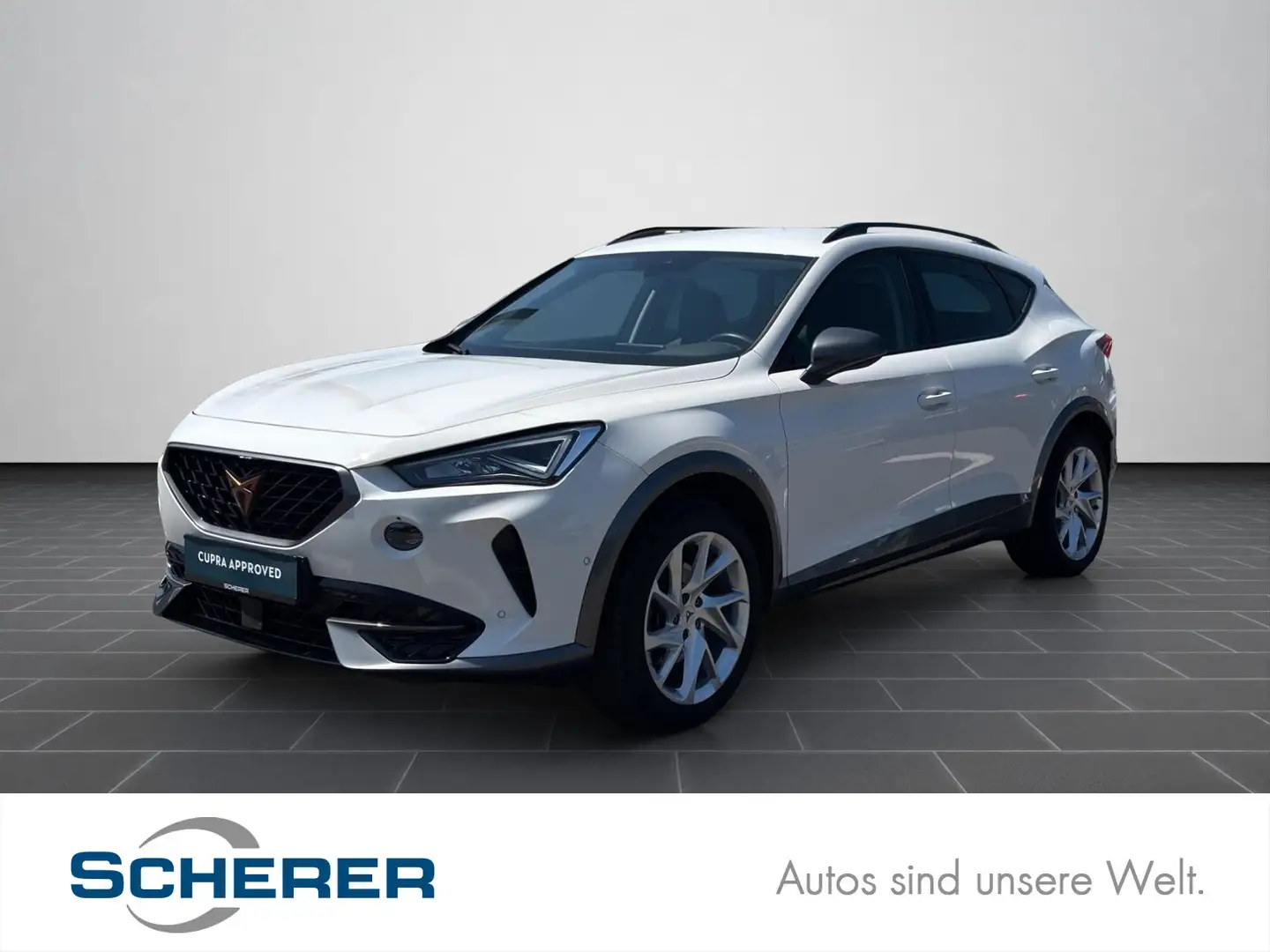 CUPRA Formentor 1.5 TSI LED CARPLAY RFK EPH SHZ ACC Weiß - 1