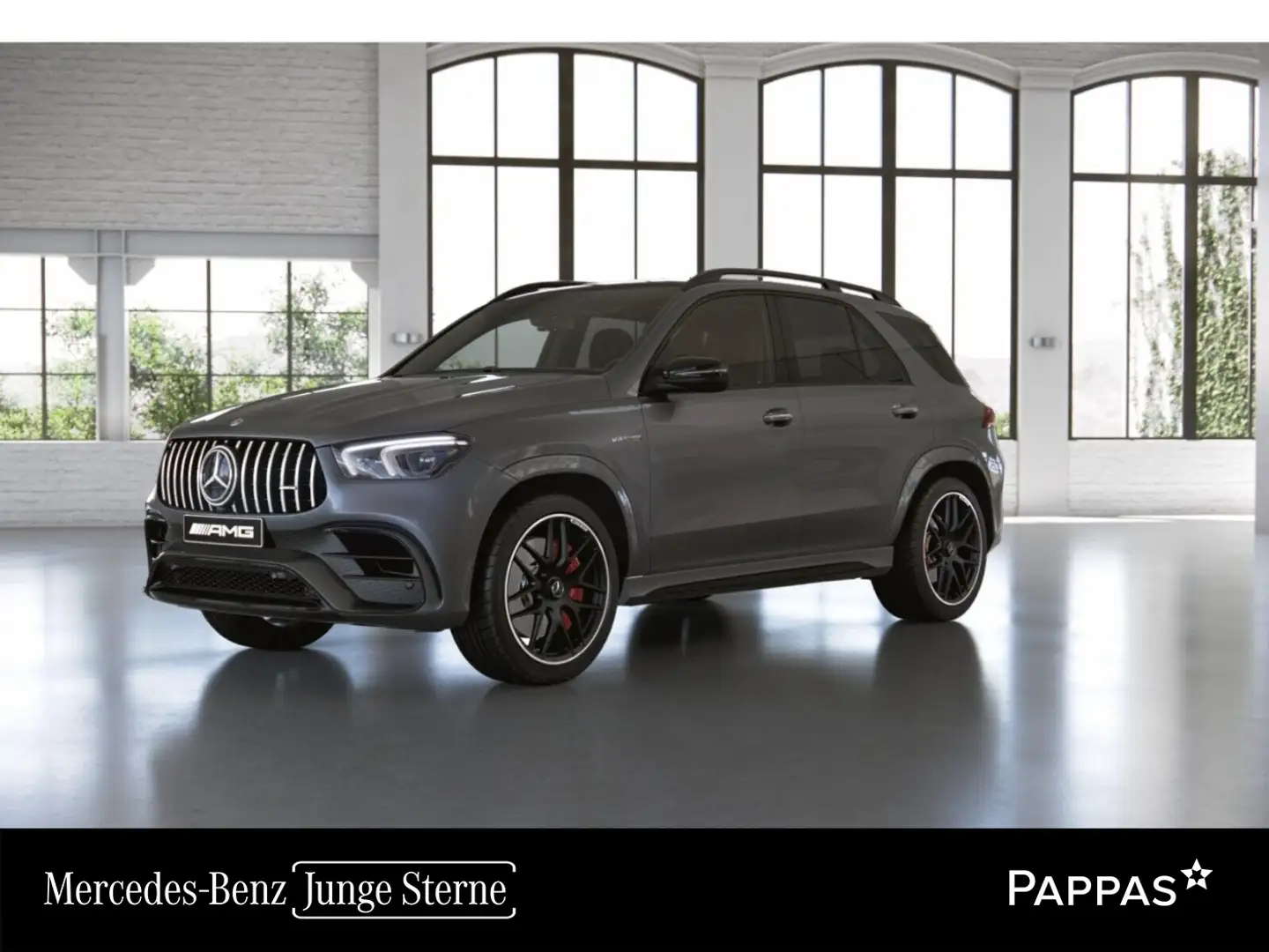 Mercedes-Benz GLE 63 AMG AMG GLE 63 S 4MATIC+ *NP 242.935.- VOLL, Panorama- Gris - 1