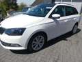 Skoda Fabia Combi Clever DSG Alu Panorama Kamera Blanco - thumbnail 6