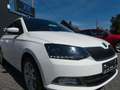 Skoda Fabia Combi Clever DSG Alu Panorama Kamera Blanco - thumbnail 1