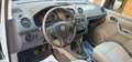 Volkswagen Caddy 2.0 Erdgas, Klima, Bluetooth, AHK Blanc - thumbnail 11