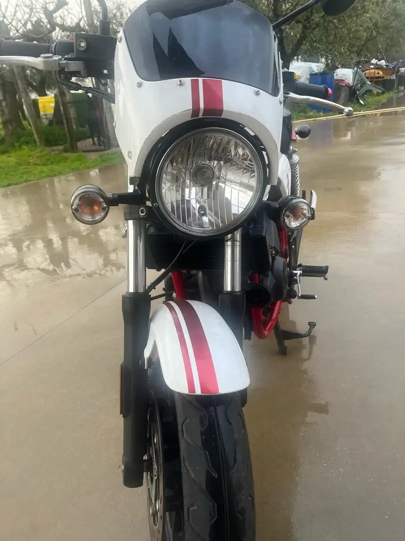 SYM Wolf CR 300i - 1