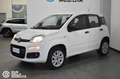 Fiat Panda 0.9 TwinAir Turbo Nat. Power Easy Bianco - thumbnail 3