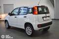 Fiat Panda 0.9 TwinAir Turbo Nat. Power Easy Bianco - thumbnail 6