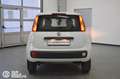 Fiat Panda 0.9 TwinAir Turbo Nat. Power Easy Bianco - thumbnail 5
