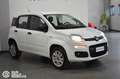 Fiat Panda 0.9 TwinAir Turbo Nat. Power Easy Bianco - thumbnail 2