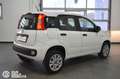 Fiat Panda 0.9 TwinAir Turbo Nat. Power Easy Bianco - thumbnail 4