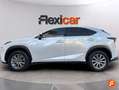 Lexus NX 300 300h Business 2WD Blanco - thumbnail 5