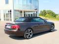 Audi A5 2.0 TDI (130kW)*Cabrio*Automatik*Facelift* Braun - thumbnail 12
